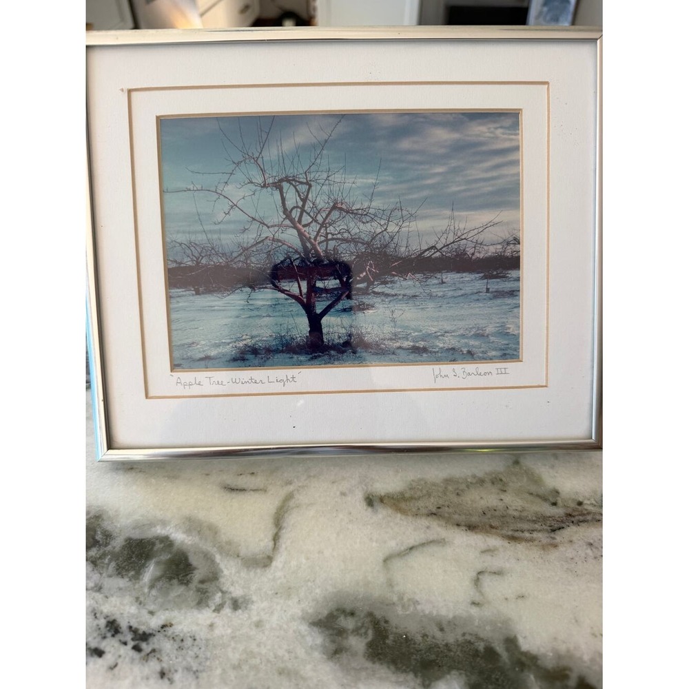 John S. Barleon III "Apple Tree – Winter Light" Framed Art Print Photograph 1989